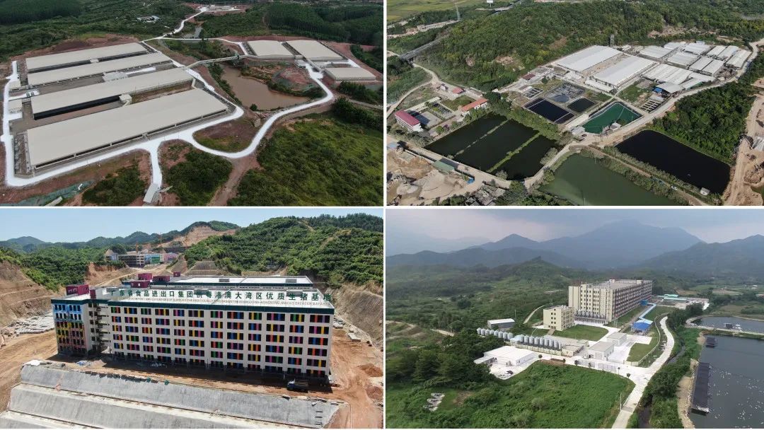 彩神IV争霸集团深入贯彻全省高质量发展大会精神（六）
